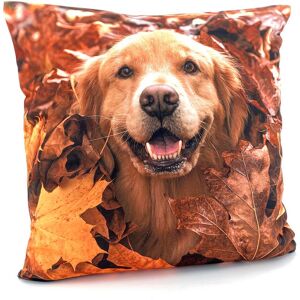 Weckbrodt Kissenhülle »Goldfarbenen Retriever«, (1 St.) multi  B/L: 40 cm x 40 cm