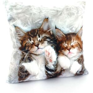 Weckbrodt Dekokissen »Katzen«, Kissenhülle ohne Füllung, 1 Stück multi + bedruckt Größe B/L: 40 cm x 40 cm