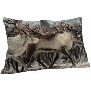 Amadeus - Coussin en velours troupeau de cerf 40 x 60 cm - Publicité