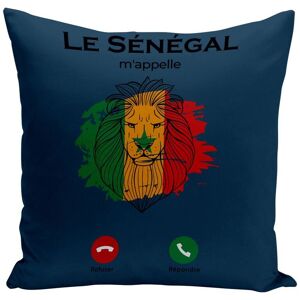 Housse De Coussin 40x40 Cm Le Sénégal M'appelle Voyage Lion Afrique - Publicité