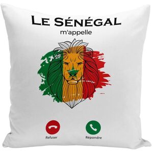 Housse De Coussin 40x40 Cm Le Sénégal M'appelle Voyage Lion Afrique - Publicité