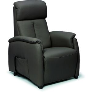 SPAZIO RELAX Fauteuil Relaxation Asia 83 cm 2 moteurs cuir bull gris