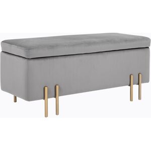 Homcom Banquette coffre de rangement velours gris clair piètement métal doré Gris 100x42x40cm