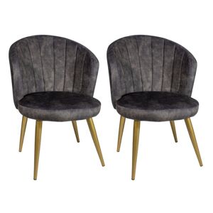 Now s Home Lot de 2 fauteuils en velours gris