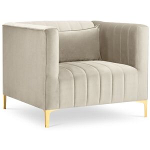 Micadoni Home Fauteuil en velours beige