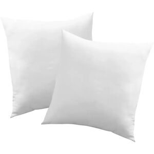 Blancheporte Coussin carré rectangulaire à recouvrir - Blancheporte Blanc Lot de 2 coussins : 40x40cm