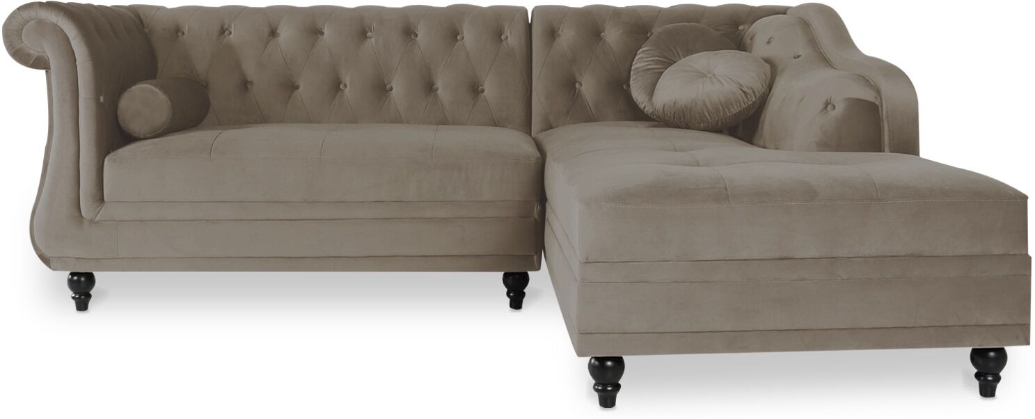 IntenseDeco Canapé d'angle droit Empire Velours Taupe style Chesterfield