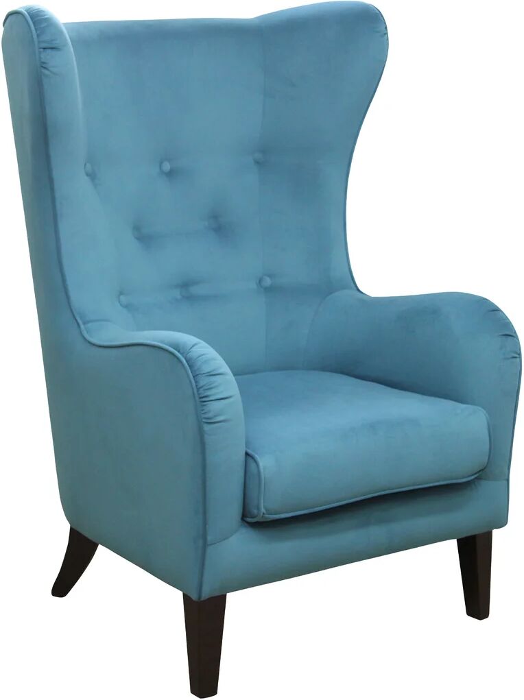 Photos - Chair Ebern Designs Aptos Armchair green/blue 112.0 H x 82.0 W x 85.0 D cm