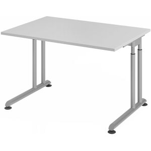 hjh OFFICE PRO ZENO 12 S   Schreibtisch - 120 x 80 Grau/Silber höhenverstellbar