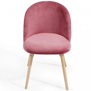 FF Europe Spisebordsstole - Pink, Sæt Med 6, Fløjlssæde, Moderne, Polstret, Bøgetræ-Ben, Med Ryglæn