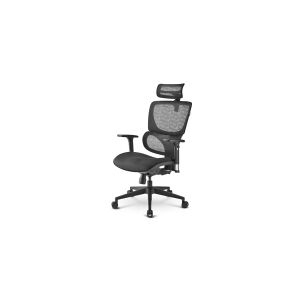 Sharkoon OfficePal C30 - Stol - ergonomisk - høj ryg - armstøtter - T-formet - vippe - drejeled - nylon, netstof, højdensistets støbt skum - sort