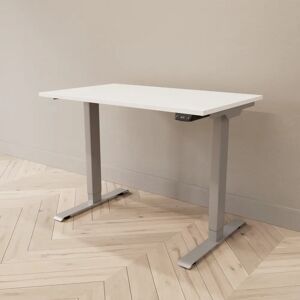 Direkt Interiör Hæve sænkebord - Professional, Størrelse 100x60 cm, Bordplade Hvid, Stativ Sølv