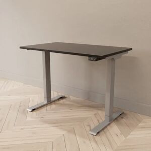 Direkt Interiör Hæve sænkebord - Professional, Størrelse 100x60 cm, Bordplade Sort, Stativ Sølv