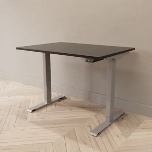 Direkt Interiör Hæve sænkebord - Professional, Størrelse 100x70 cm, Bordplade Sort, Stativ Sølv