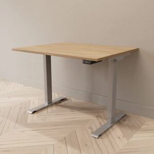 Direkt Interiör Hæve sænkebord - Professional, Størrelse 100x80 cm, Bordplade Eg, Stativ Sølv