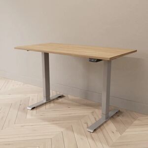 Direkt Interiör Hæve sænkebord - Professional, Størrelse 120x60 cm, Bordplade Eg, Stativ Sølv