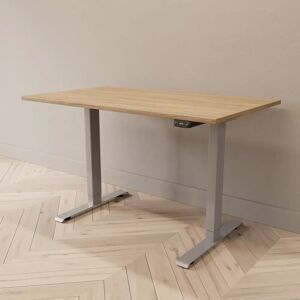 Direkt Interiör Hæve sænkebord - Professional, Størrelse 120x70 cm, Bordplade Eg, Stativ Sølv