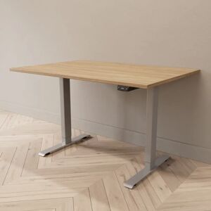 Direkt Interiör Hæve sænkebord - Professional, Størrelse 120x80 cm, Bordplade Eg, Stativ Sølv
