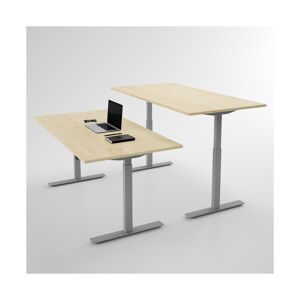 Direkt Interiör Hæve sænkebord - Pro3, Størrelse 100x70 cm, Bordplade Birk, Stativ Sølv