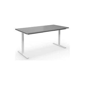 kaiserkraft Mesa multiusos DUO-T, tablero recto, A x P 1600 x 800 mm, gris luminoso, blanco