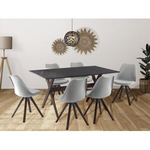 Vente-unique Ensemble table + 6 chaises - Anthracite, gris et naturel foncé - SERANI