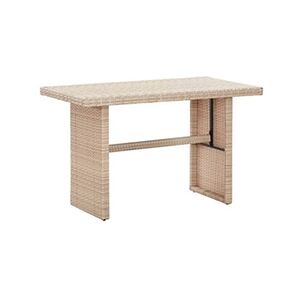 VIDAXL Table de jardin Beige 110x60x74 cm Résine tressée - Publicité