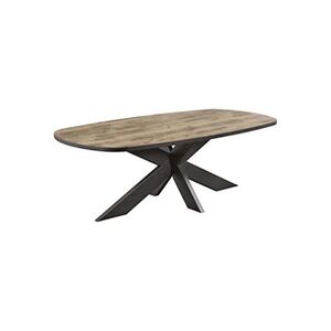 Altobuy TROPIX - Table Ovale 200cm Aspect Bois Piètement Araignée Métal Noir - - Publicité