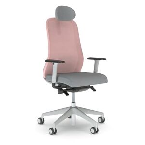 NOWY STYL Souly Chaise de Bureau Mécanisme Synchronisé avec Réglage de la Profondeur d'Assise, Siège à Ressort Ensaché, Accoudoirs 2D, Dossier en Filet, Appuie-tête 3D, Ergonomique, Plastique, Gris - Publicité