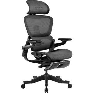 HINOMI H1ProV2 Chaise de Bureau Ergonomique, Soutien Lombaire 3D, accoudoirs 5D, Repose-Jambes, Maille Hybride, Pliable, Appui-tête réglable (Noir, Hauteur Standard) - Publicité