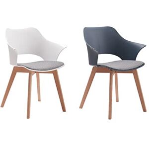 BenyLed Lot de 2 Chaises de Salle à Manger avec Revêtement en Tissu ; Chaises de Salon Chaises Longues Design Sculpté en Creux avec Accoudoir (Blanc+Bleu) - Publicité