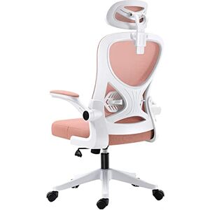 Guyifuny Chaise de Bureau Ergonomique en Maille avec Appui-tête, Chaise de Bureau Confortable, Chaise de Jeu, Bras réglables, Chaise d'ordinateur de Direction avec Soutien Lombaire - Publicité