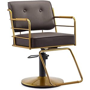 AuLYn Chaise hydraulique pour le travail ou la maison, chaise de coiffure pour salon de beauté, chaise de barbier, chaise de barbier à levage hydraulique pivotante (420 lb) (couleur : bleu) (marron) ( - Publicité