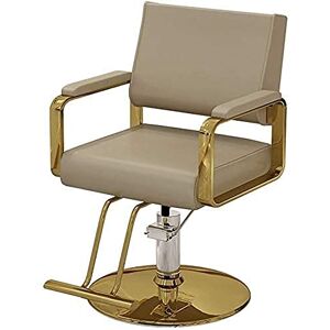 ZXCVDF Chaise de Salon de modélisation inclinable, Levage hydraulique, Chaise pivotante de 41 à 52Cm, équipement de Salon de beauté, Chaise de Tatouage - Publicité