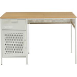 Drawer Bureau 1 porte 1 tiroir en metal PANTONE L120cm beige