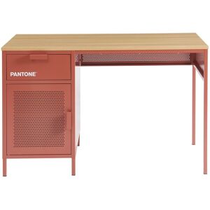 Drawer Bureau 1 porte 1 tiroir en metal PANTONE L120cm terracotta