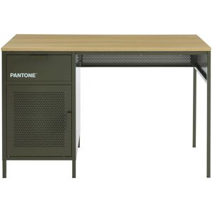 Drawer Bureau 1 porte 1 tiroir en metal PANTONE L120cm vert kaki