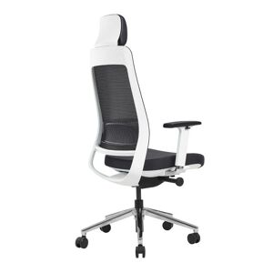 Axess Industries fauteuil de bureau ergonomique 5 positions   coloris noir