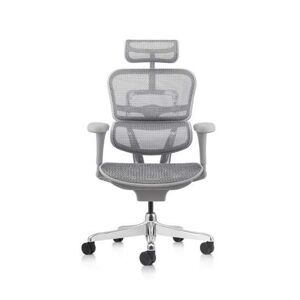 Axess Industries fauteuil de bureau ergonomique classic   coloris structure grise