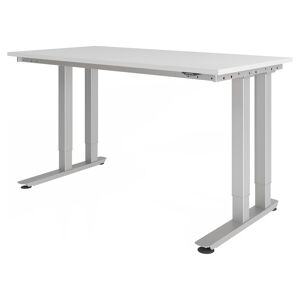 hjh OFFICE PRO RINO 16 S   160x80   Table pour charges lourdes - Gris