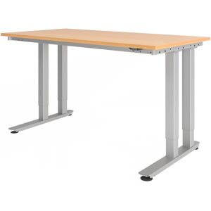 hjh OFFICE PRO RINO 16 S   160x80   Table pour charges lourdes - Hêtre