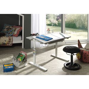 Vipack Bureau pour Enfant en Metal, Plastique et Bois Comfortline E201