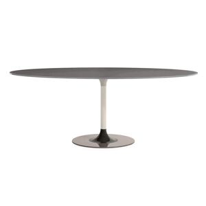 KARTELL table ovale THIERRY XXL (Gris - Verre trempe peint et metal)