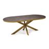 KantoormeubelenPlus Stalux Plat ovale eettafel 'Noud' 240 x 100, kleur goud/lederlook bruin