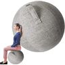 ZHDBD Oefenbalstoel voor kantoor en bureau, yogastoel met stabiliteitsbalhoes, yogabalbureaustoel 55/65/75cm yogabalstoelhoes