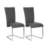 Homexperts 2 stoelen Mulan (stoel, Antraciet)