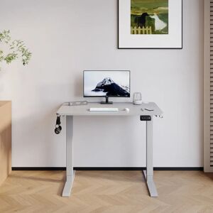 Zipcode Design Hieronymus Electric T-Shape Height Adjustable Standing Desk brown/gray 122 x 100 x 60 cm