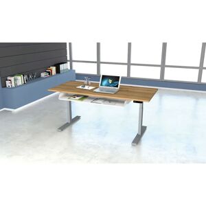 Inbox Zero Height adjustable standing desk brown/gray 100.0 W x 60.0 D cm