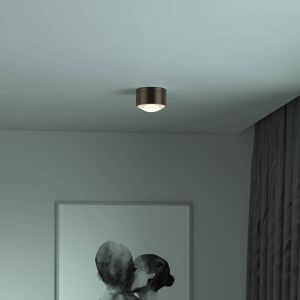 Top Light Puk! 120 One LED-Deckenspot Linse matt dunkelbraun