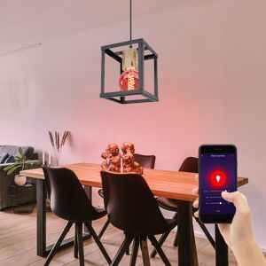 ETC-SHOP Smart Hänge Leuchte dimmbar Holz Pendel Decken Lampe steuerbar per App Sprache Handy im Set inkl. rgb led Leuchtmittel