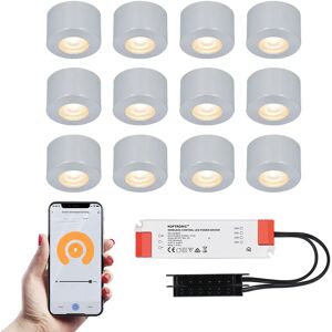 HOFTRONIC SMART 12x Navarra RVS Smart LED Aufbaustrahler Komplett-Set - Wifi & Bluetooth - 12V - 3 Watt - 2700K warmweiß - Veranda-Beleuchtung - Für Innen- und Außenbereich